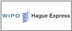Hague Express